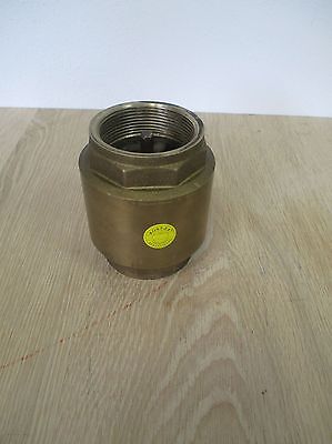 Rückschlageventil 2 Zoll Ventil Pumpenkost S16/185