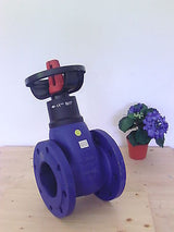 Wasserhahn ARI  EURO WEDI DN 100  PN 16 Absperrschieber  S12/94