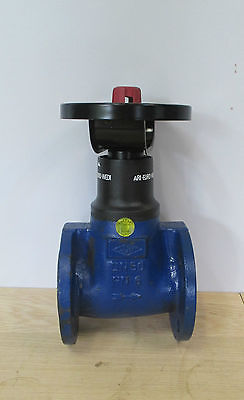 Absperrhahn Ari Euro Wedi DN 50  GG - 23 PN 6 Absperrventil Pumpenkost S16/91