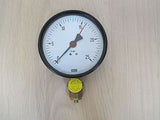 Wika Manometer 0 - 25 bar 100 mm 1 / 2 Zoll Druckmesser Pumpenkost S16/190