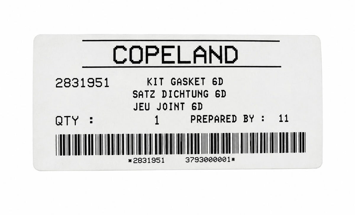 Copland Dichtung Satz 6D Nr. 2831951 Kit Gasket 6D Pumpe S21/14