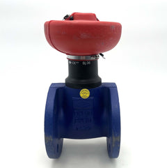 ARI EURO WEDI Wasserschieber DN50 PN16 Kugelhahn mit Ventilkappe S12/91