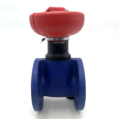 ARI EURO WEDI Wasserschieber DN50 PN16 Kugelhahn mit Ventilkappe S12/91