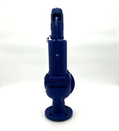 ARI Armaturen Typ 36 D/G/H 0,72 2,5bar DN40 DN65 P8/237