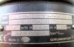 Grundfos LM 65 - 160/173 A-F-A-BUBE 23 m³/h 400 V Kreiselpumpe P13/1434