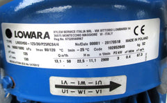 Lowara LNEEH 50-125/30 / P25 RC S4/4 Inlinepumpe 3kW 3x400V P21/40