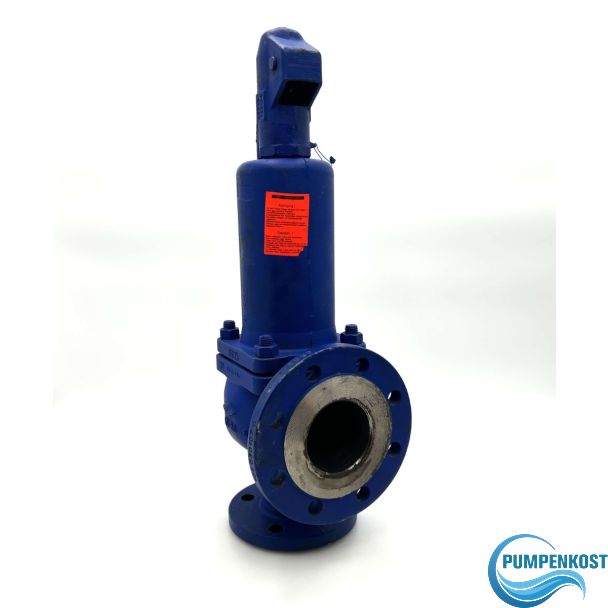 ARI Armaturen Sicherheitsventil  Typ 45 D/G/H 0,73 DN50 DN80  P8/236