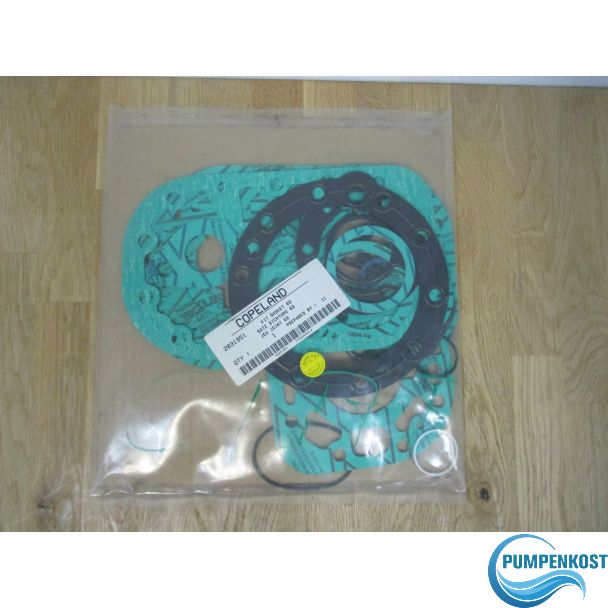 Copland Dichtung Satz 6D Nr. 2831951 Kit Gasket 6D Pumpe Bestnr.:S21/14