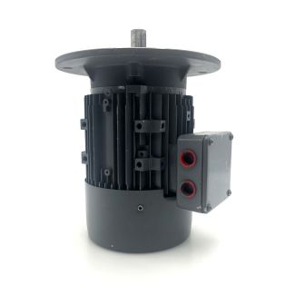 Brook Hansen UD90SD-4-MO9156T651015 Elektromotor  3x400 V P9/1114