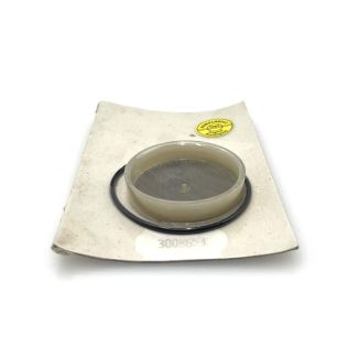 Brötje Riello Pumpenfilter mit Dichtung – Nr. 974165 / PG011 | Original Ersatzteil S10/172