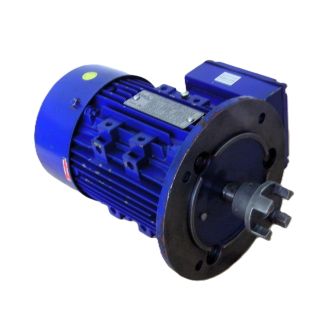 KSB 1AI0802-2 V1 1,1 kW Pumpenmotor P13/485