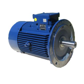 ATB AF 132M / 4 / 2D - 11LQ / 0808 YY Pumpenmotor 690V Polumschaltbar P15/425